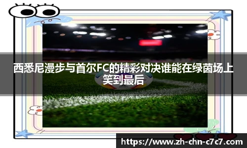 西悉尼漫步与首尔FC的精彩对决谁能在绿茵场上笑到最后